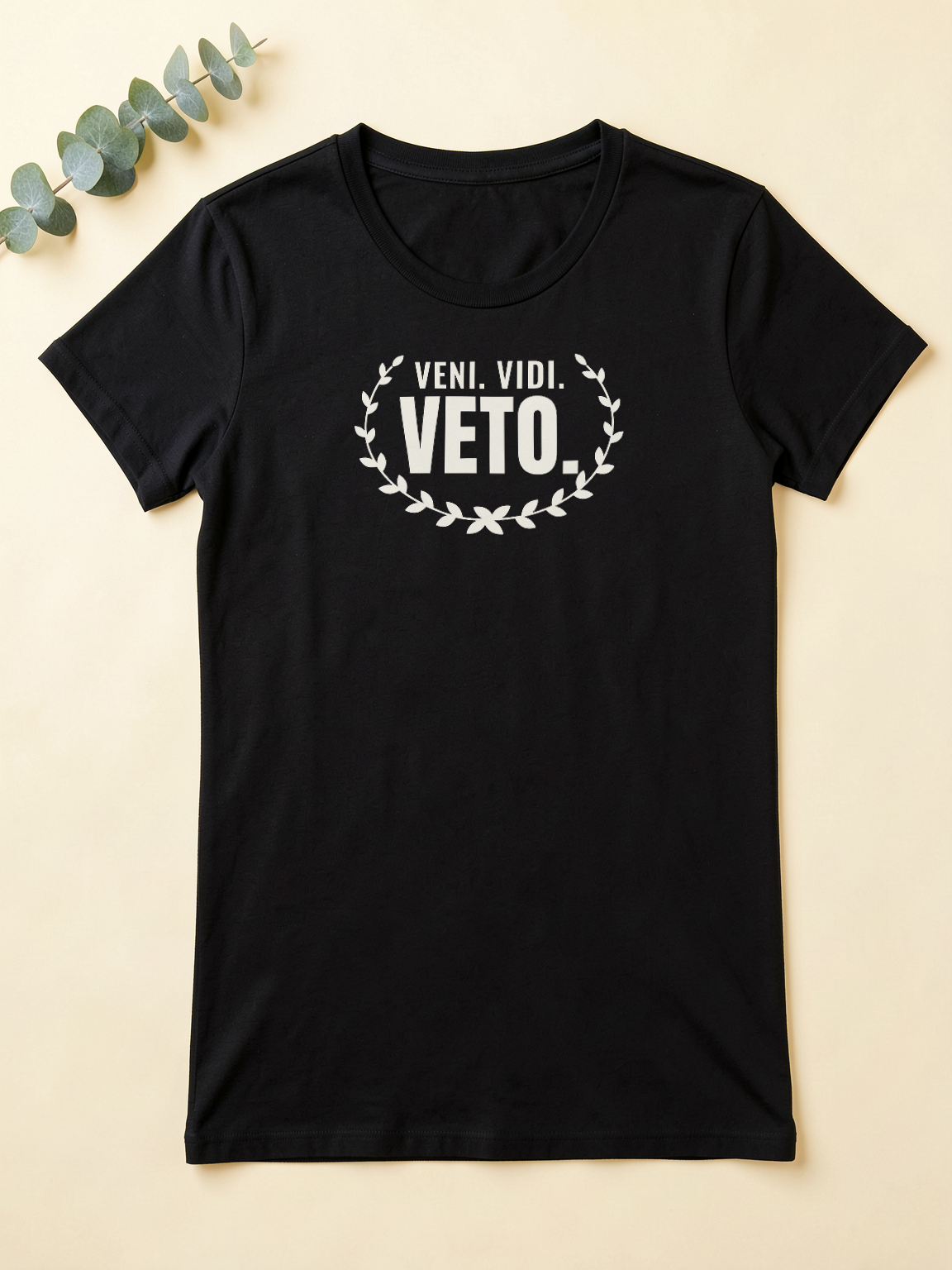 Veni. Vidi. Veto. — flat lay [kk-ai-shoot]